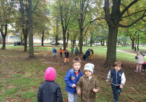 Dzieci w parku zbieraja kasztany i żołędzie