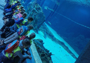 Dzieci obserwują rekiny i inne ryby