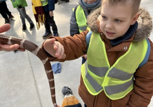chłopiec dotyka węża