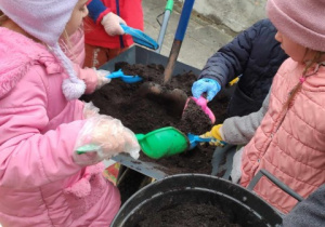 Dzieci uzupełniają doniczkę ziemią