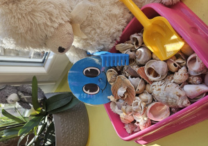 Ukryta w sali kolorowa kropeczka siedzi w pudełku z muszelkami