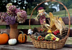 Stacja wykopki dekoracja kosz z jesiennymi darami kwiaty dynie