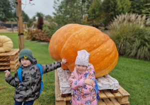 chłopiec z dziewczynką pozują do zdjęcia z gigantyczną dynią