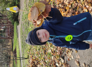 Mieszkańcy lasu i parkowe skrzaty