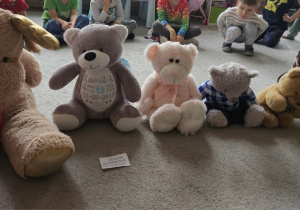 Dziewczynka układa misie od największego do najmniejszego