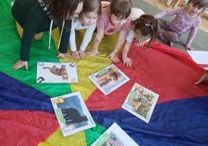 Dzieci bawią się na chuście animacyjnej i uczą sie o kotach