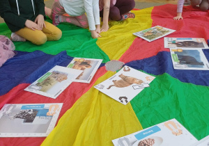 Dzieci bawią się na chuście animacyjnej i uczą sie o kotach