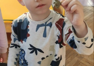 Chłopiec prezentuje dinozaura z jaja